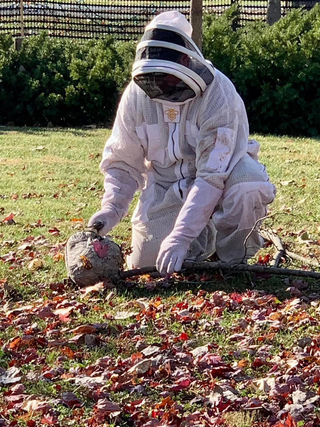 Wasp nest removal in Mattoon Illinois by Don Baker Pest Control