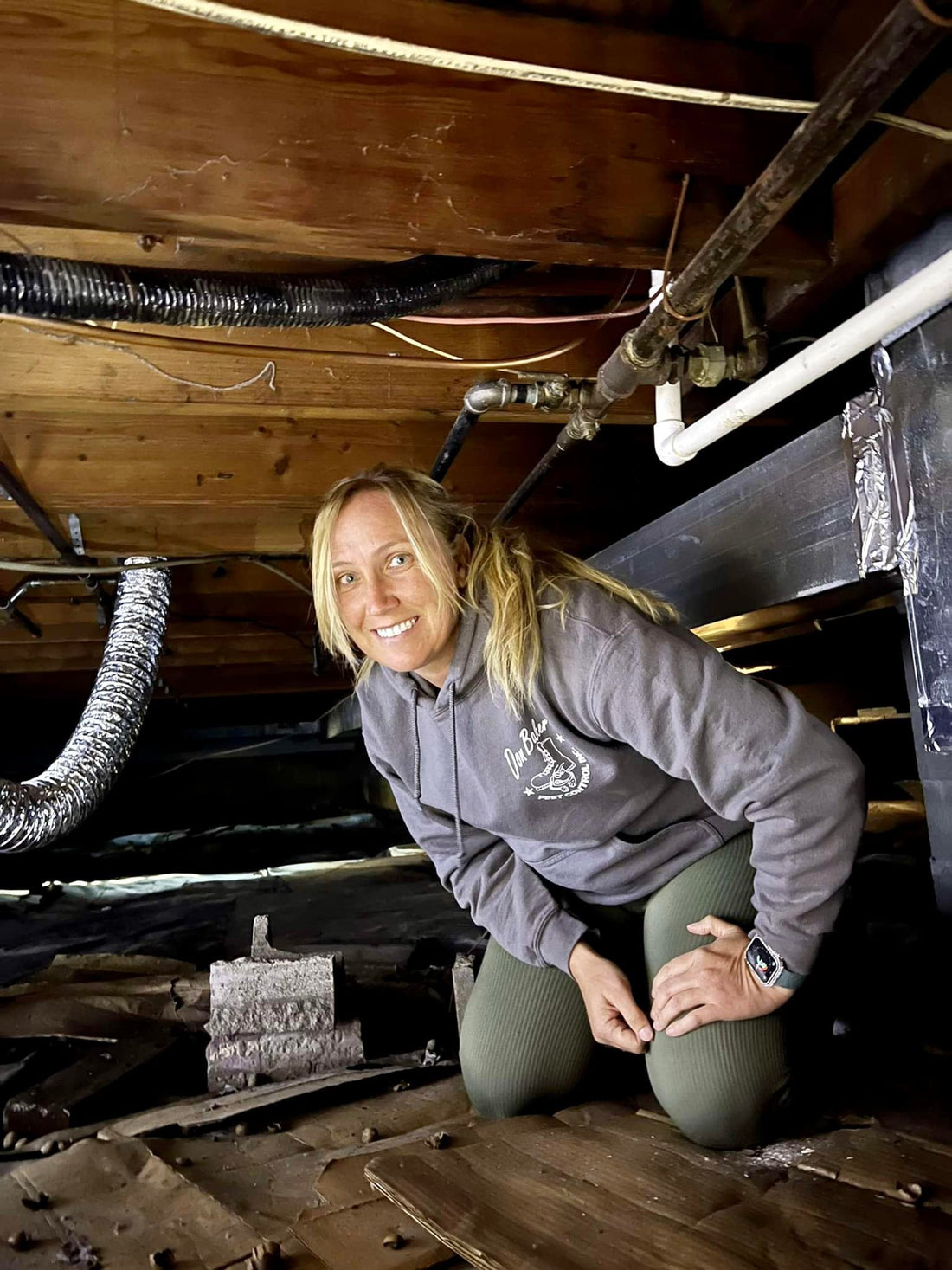 Professional termite inspection for real estate transaction in Coles County Illinois