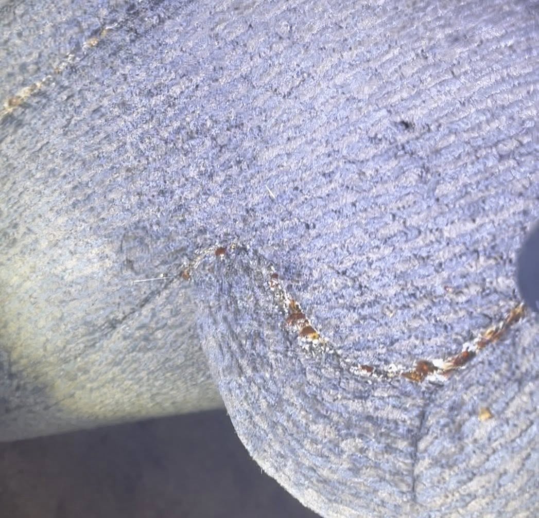 Bed Bug Treatment in Champaign, Illinois: Professional Elimination